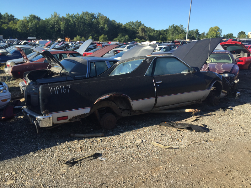 Poor El Camino.